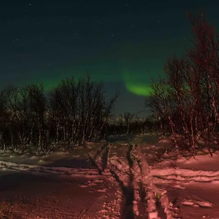 Paradise I Troms *