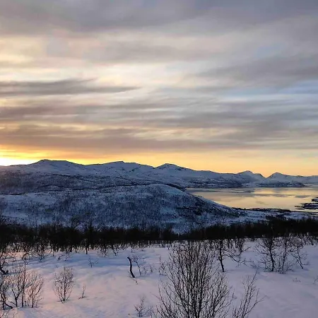 Paradise I Troms