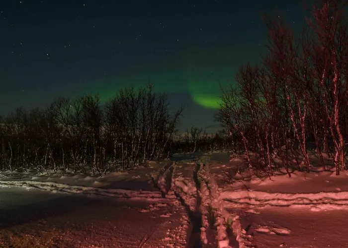 Paradise I Troms *