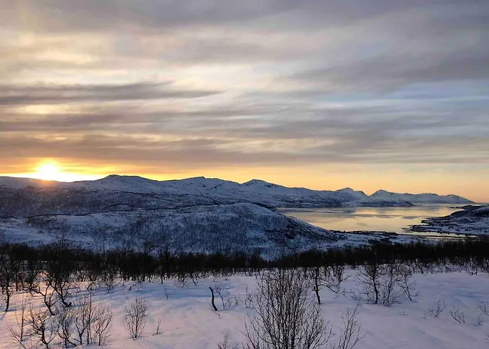 Paradise I Troms